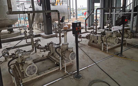 3RP Series Rotary Lobe Pump